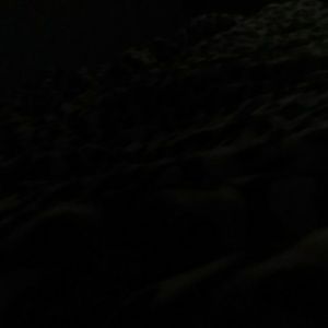 Meet your Posher, Laishaun